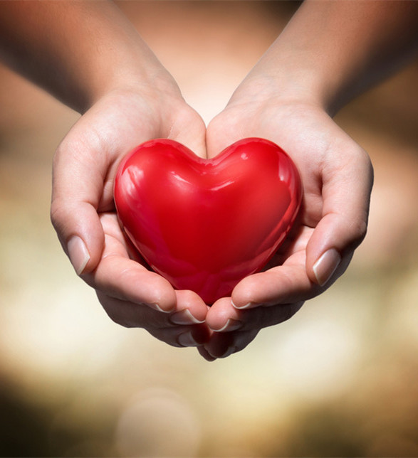 社會慈善事業(yè)