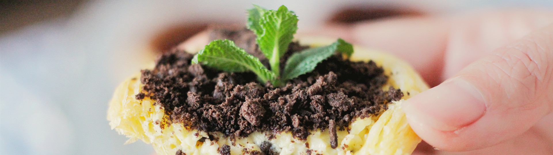 奧利奧盆栽蛋撻